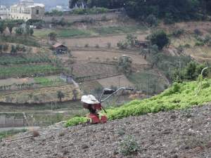 Xtrallusion photo library of independent, self-guided walking and sightseeing holidays in Italy. Pictures, images, photos and photographs taken along the way of this 1-day walking itinerary, to give you a visual impression of the day's walk.